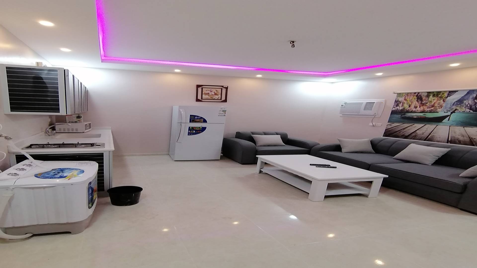One Bedroom Apartment with Open Kitchen